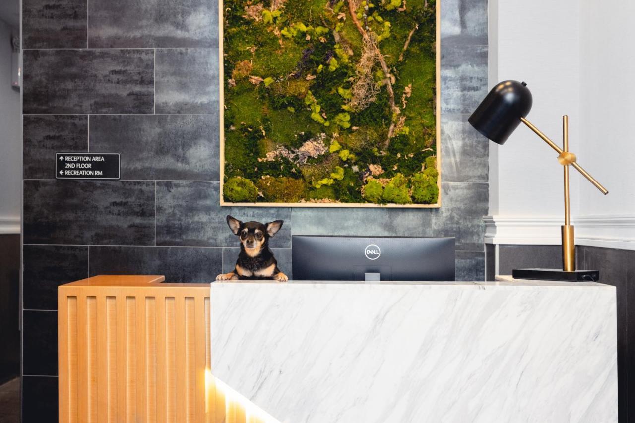 The Modernist Hotel New York Luaran gambar